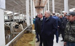 Стоп-кадр из видео
