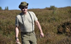 © Пресс-служба Кремля © KM.RU, Пресс-служба Кремля