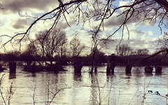 Фото пользователя Instagram phdavies