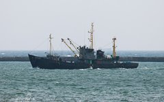 Фото с сайта photos.sakhalin.name