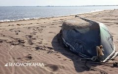 Фото с сайта tv29.ru