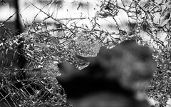 Фото с сайта Pixabay.com