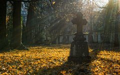 Фото с сайта pixabay.com